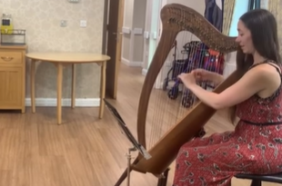 Harmony and Nostalgia Enrich Abbey Wood Lodge’s Afternoon